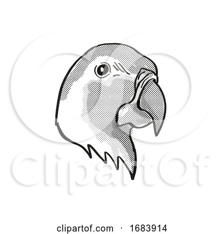 Blue-throated Macaw or Wagler's Macaw Endangered Wildlife Cartoon Mono Line Drawing by patrimonio