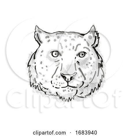 Snow Leopard Endangered Wildlife Cartoon Retro Drawing by patrimonio