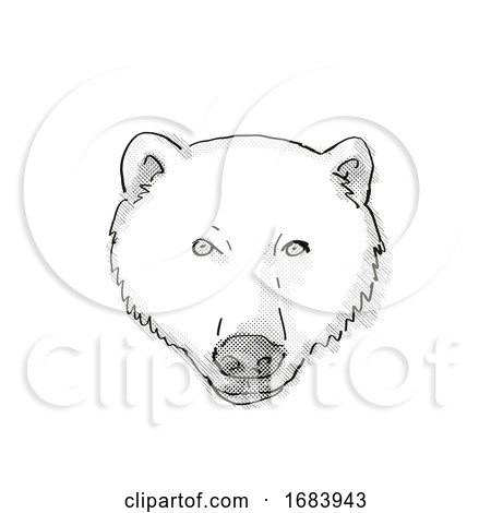 Polar Bear Cartoon Retro Drawing by patrimonio