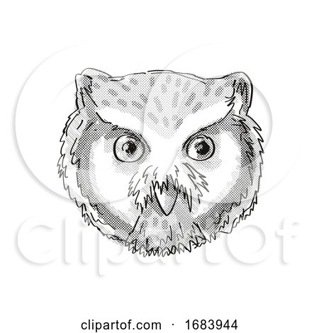 Northern White-Faced Owl Head Cartoon Retro Drawing by patrimonio