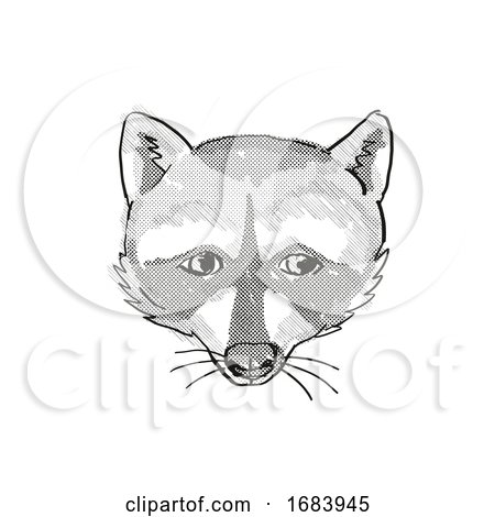 Pigmy Raccoon Endangered Wildlife Cartoon Retro Drawing by patrimonio