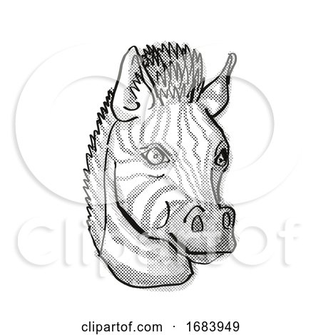 Zebra Head Cartoon Retro Drawing by patrimonio