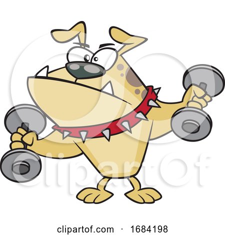 Cartoon Tough Bulldog Working out with Dumbbells by toonaday