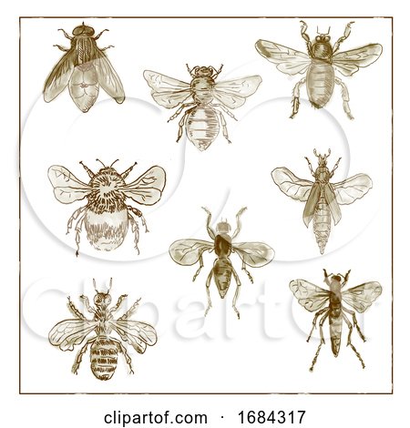 Vintage Bees and Flies Collection Duotone on White Background by patrimonio