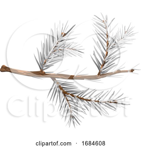 Winter Spruce Branch by dero