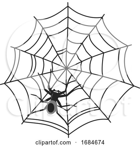 Spider on a Web by Vector Tradition SM