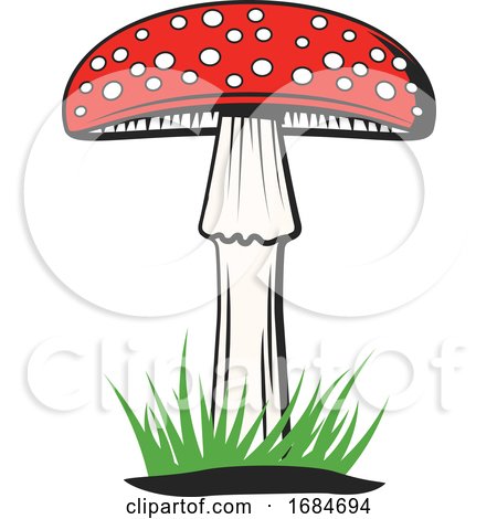 Mushroom by Vector Tradition SM