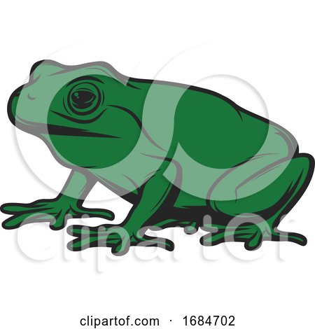 Frog by Vector Tradition SM
