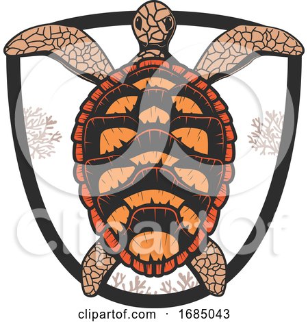 Sea Turtle Shield by Vector Tradition SM