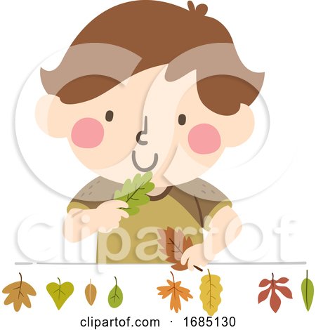 Kid Boy Check Different Leaves Illustration by BNP Design Studio