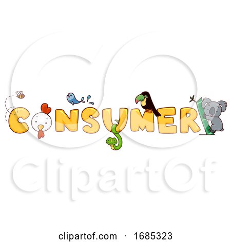 Consumer by BNP Design Studio