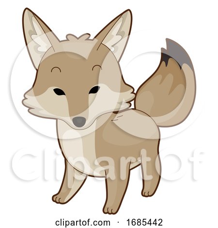 Animal Desert Coyote Illustration by BNP Design Studio