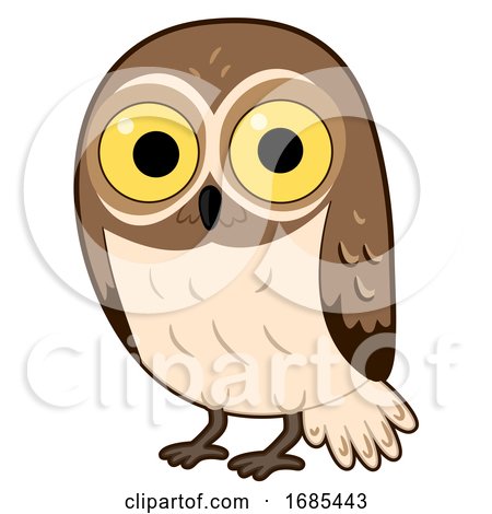 Animal Desert Elf Owl Illustration by BNP Design Studio