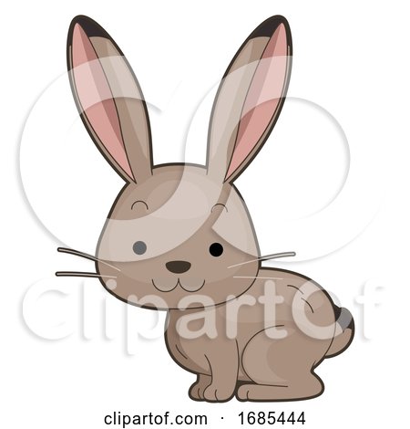 Animal Desert Jack Rabbit Illustration by BNP Design Studio