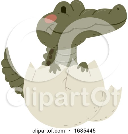 Animal Hatch Egg Crocodile Illustration by BNP Design Studio