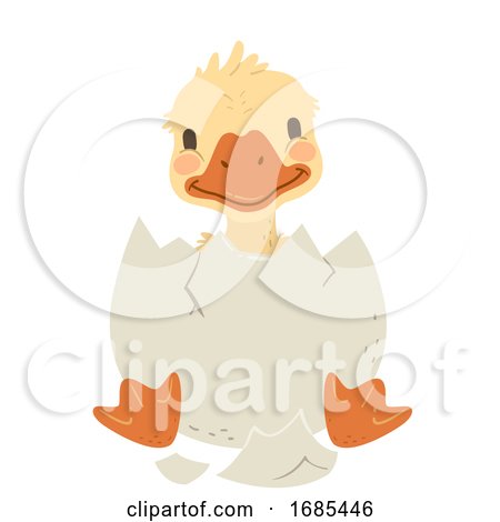 Animal Hatch Egg Duck Illustration by BNP Design Studio