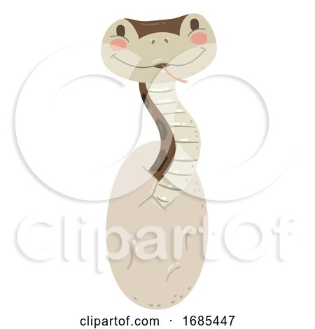 Animal Hatch Egg Snake Illustration by BNP Design Studio