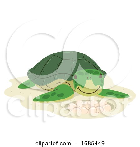 Animal Lay Eggs Turtle Illustration by BNP Design Studio