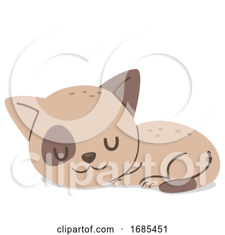Animal Cat Kitten Sleeping Illustration by BNP Design Studio