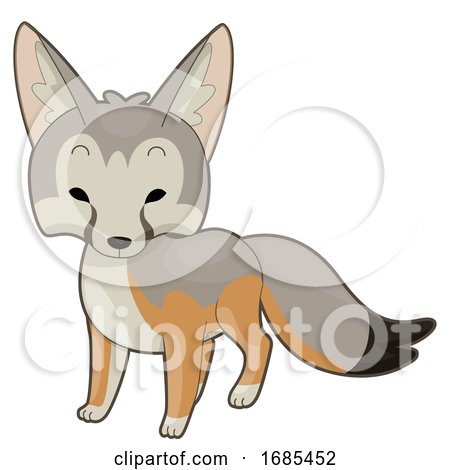 Desert Kit Fox Illustration by BNP Design Studio