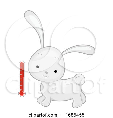 Rabbit Warm Blooded Animal Illustration by BNP Design Studio