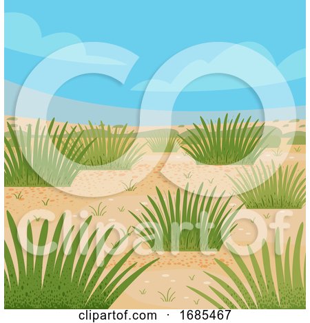 Desert Grasses Illustration by BNP Design Studio