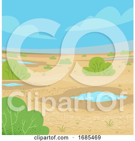 Wet Desert Illustration by BNP Design Studio