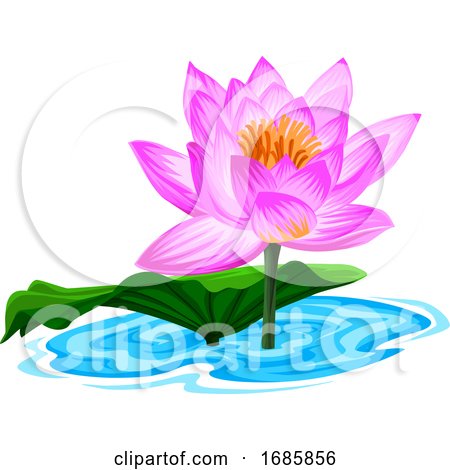 Vector of Fresh Lotus Flower. by Morphart Creations