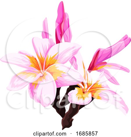 Vector of Fresh Pink Flower. by Morphart Creations