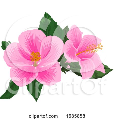 Vector of Pink Flower. by Morphart Creations