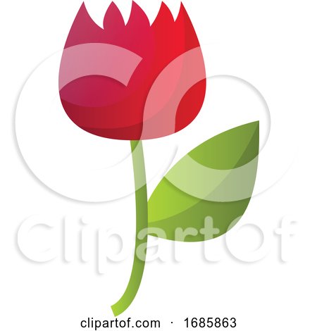 Simple Vector Illustration of a Red Flower on a White Background by Morphart Creations