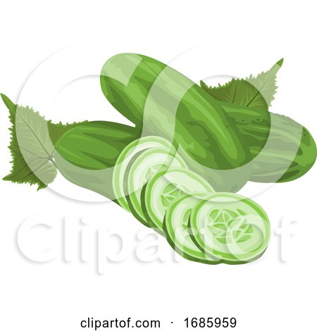 Fresh Cucumber by Morphart Creations