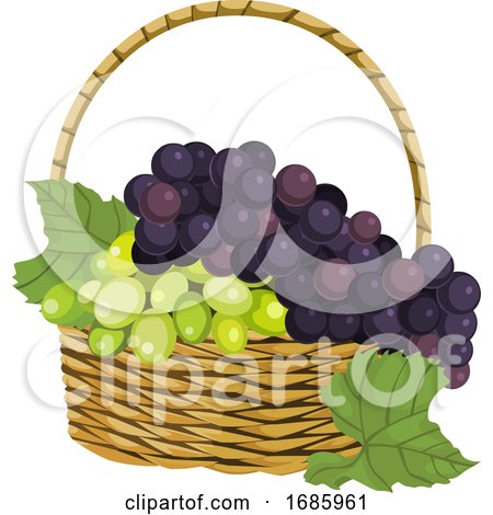 Fresh Grapes in Basket by Morphart Creations