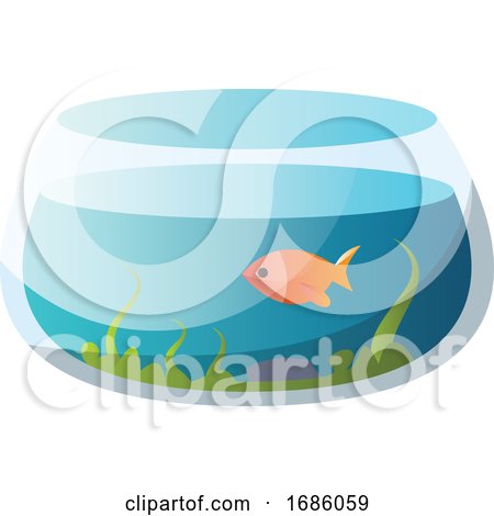 Round Fishbowl with One Goldfish Vector Illustration on a White Background by Morphart Creations