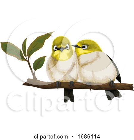 Vector of Lovebirds on Branch by Morphart Creations