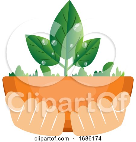 Illustration of Hands Holding Plants Illustration Vector on White Background by Morphart Creations