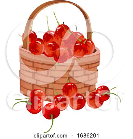 Vector of Fresh Cherries by Morphart Creations