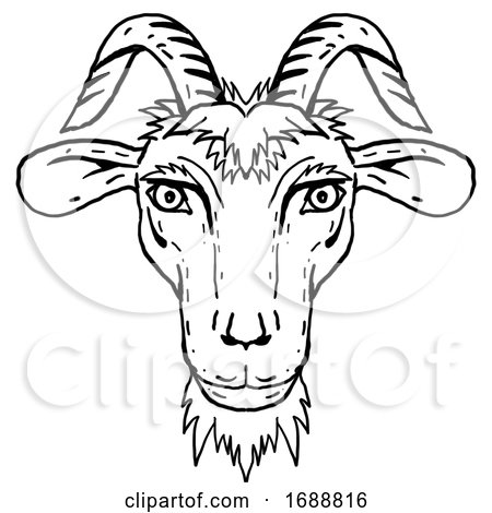 Goat Head Portrait Cartoon Retro Drawing by patrimonio