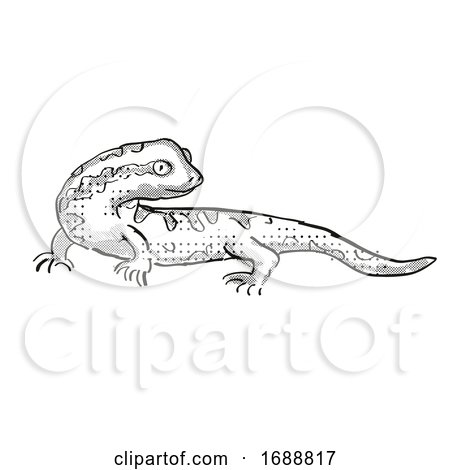 Tautuku Gecko New Zealand Wildlife Cartoon Retro Drawing by patrimonio