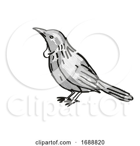 Tui New Zealand Bird Cartoon Retro Drawing by patrimonio