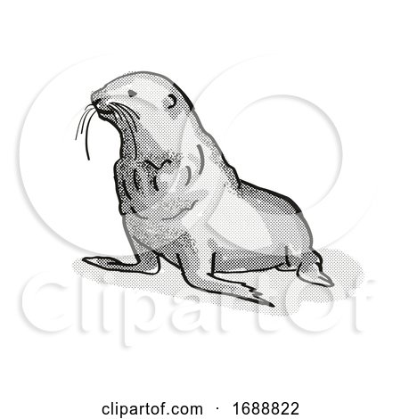 Fur Seal New Zealand Wildlife Cartoon Retro Drawing by patrimonio