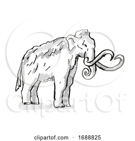 Columbia Mammoth Extinct North American Wildlife Cartoon Drawing by patrimonio