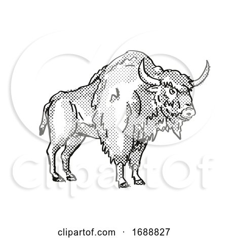 Ancient Bison Extinct North American Wildlife Cartoon Drawing by patrimonio