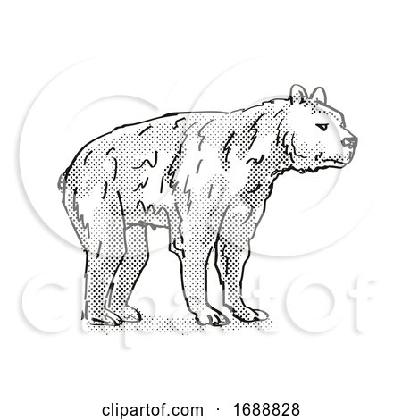 Short-Faced Bear Extinct North American Wildlife Cartoon Drawing by patrimonio
