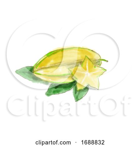 Carambola or Star Fruit Watercolor by patrimonio