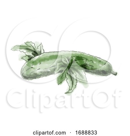 Cucumber Watercolor by patrimonio