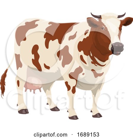 Cow by Vector Tradition SM