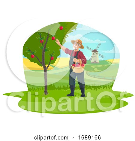 Farmer Picking Apples by Vector Tradition SM