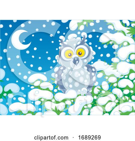 Owl in the Snow by Alex Bannykh