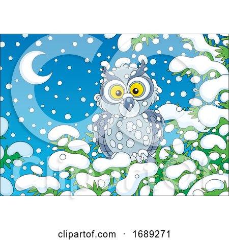 Owl in the Snow by Alex Bannykh